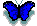 butterflymoving.gif (1038 bytes)