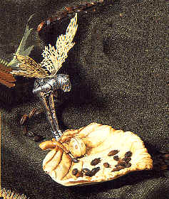 GF5-Fairy.TIF (76478 bytes)